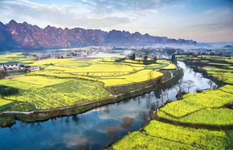 萬(wàn)畝花海迎巾幗，誰(shuí)的風(fēng)采勝一籌？